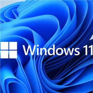 WINDOWS 11 PROFESSIONAL 64BIT DVD OEM FQC-10538